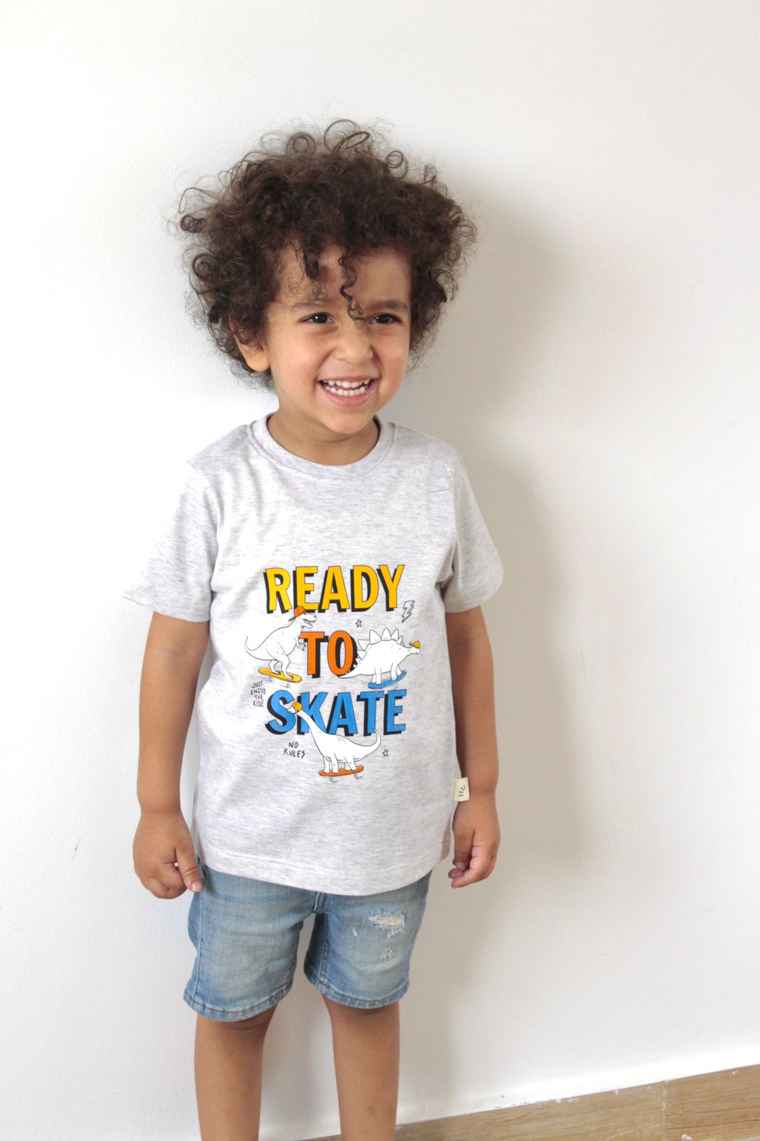 Boys Cotton T-Shirt – Ready To Skate Print - Grey
