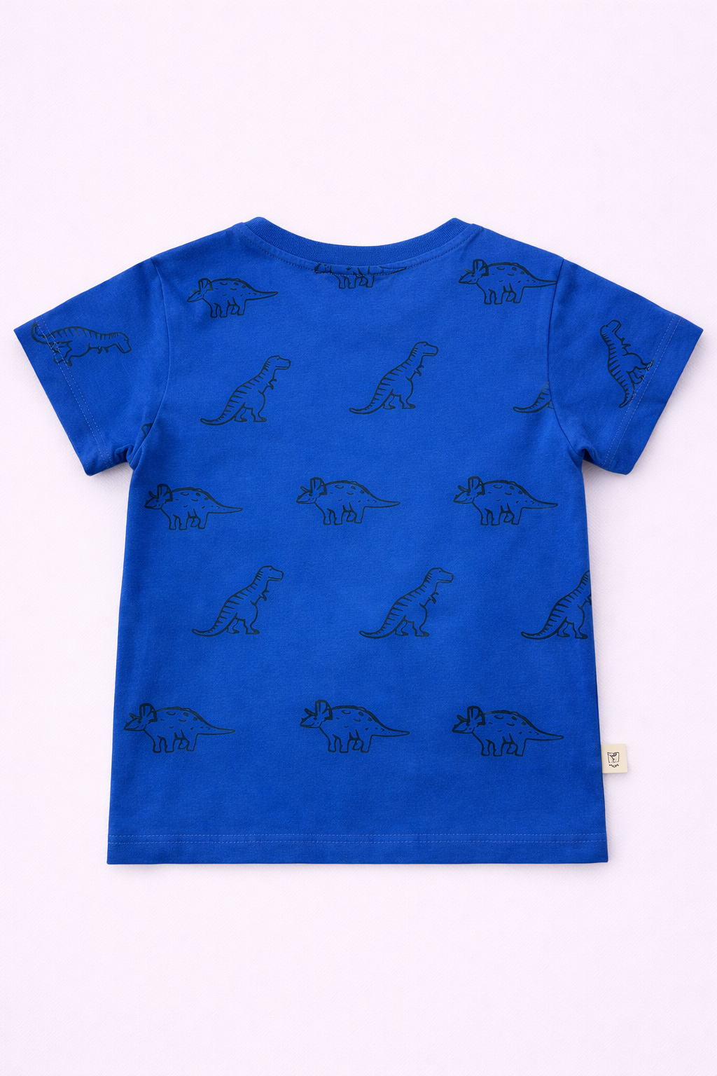 Boys Cotton T-Shirt – Dino Print Blue