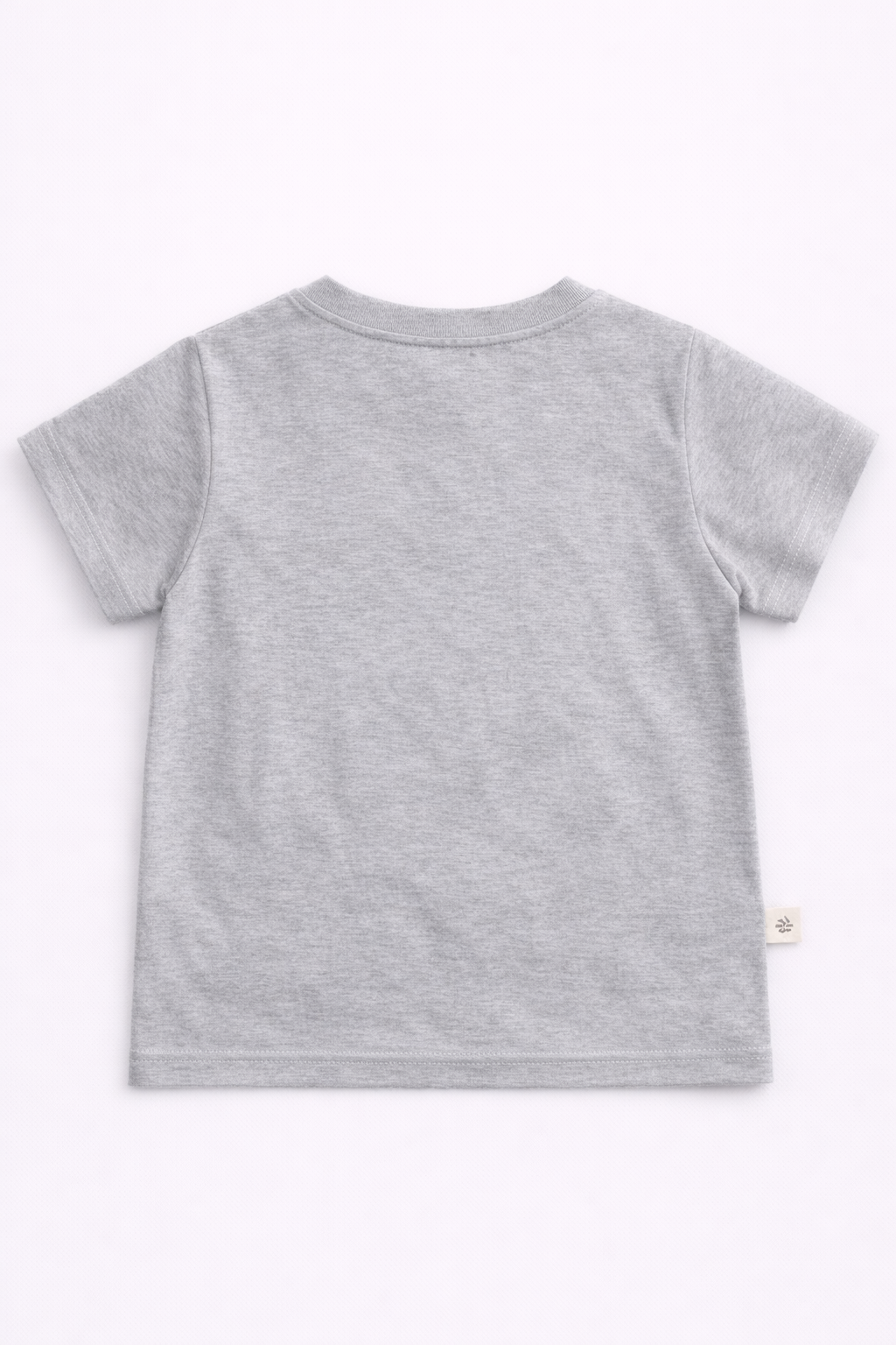 Boys Cotton T-Shirt – Ready To Skate Print - Grey