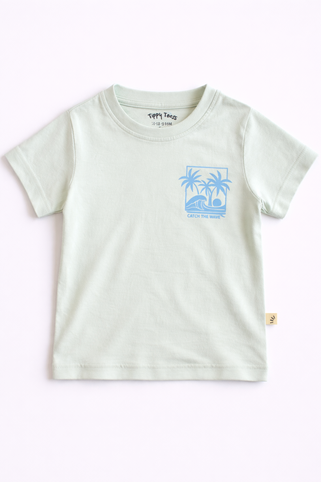 Boys Cotton T-Shirt – Catch the wave Print Light Mint
