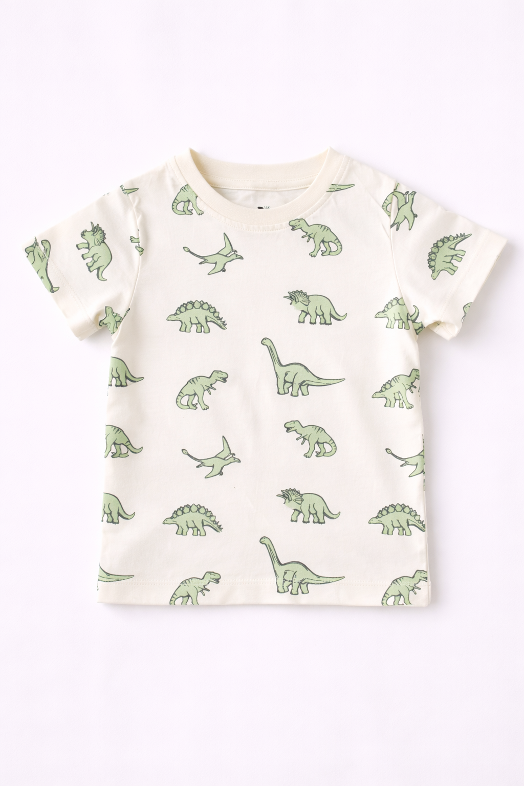 Boys Cotton T-Shirt – Dino Print White