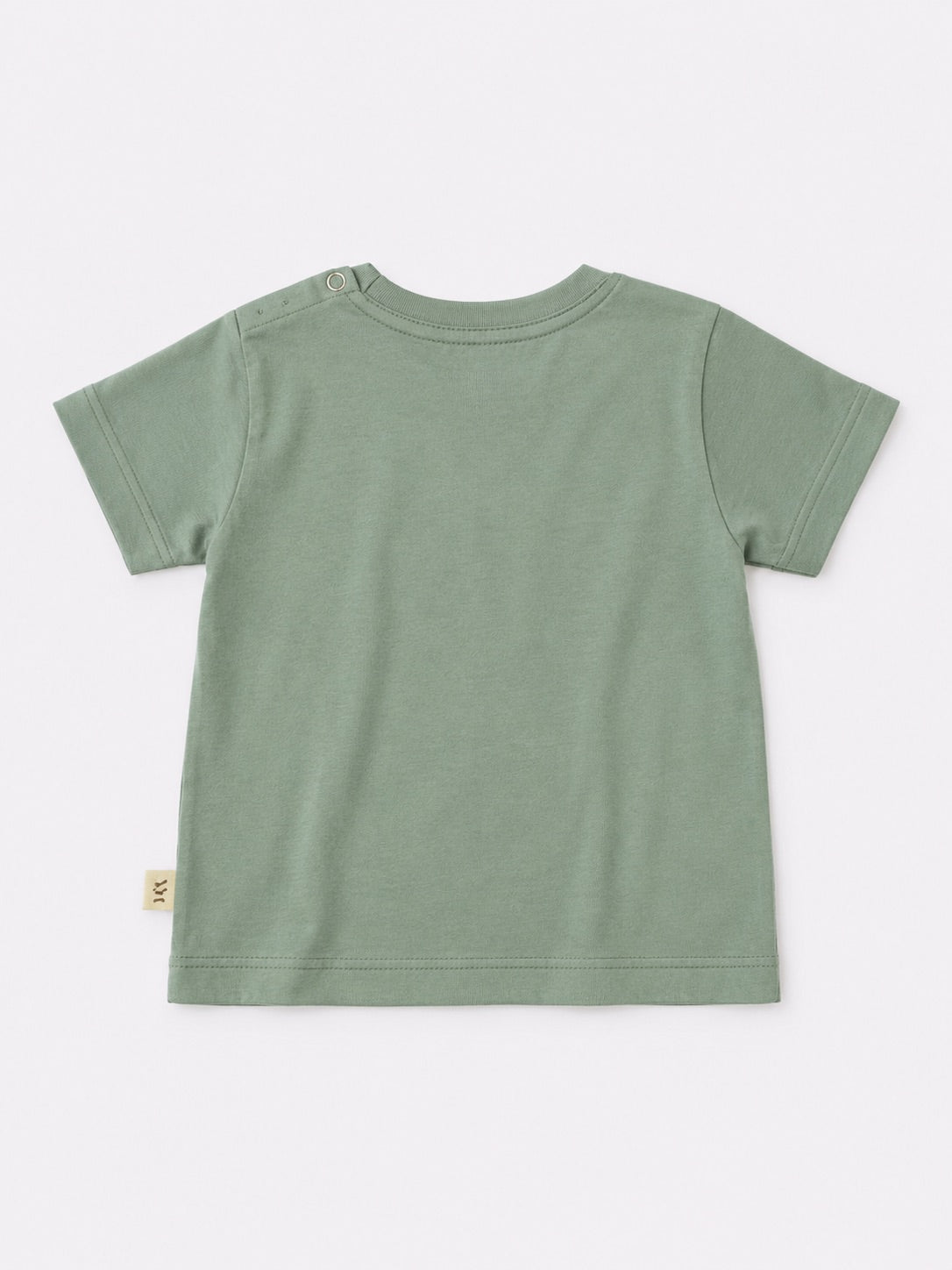 Baby Boys Cotton T-Shirt – Cool Bear Mint
