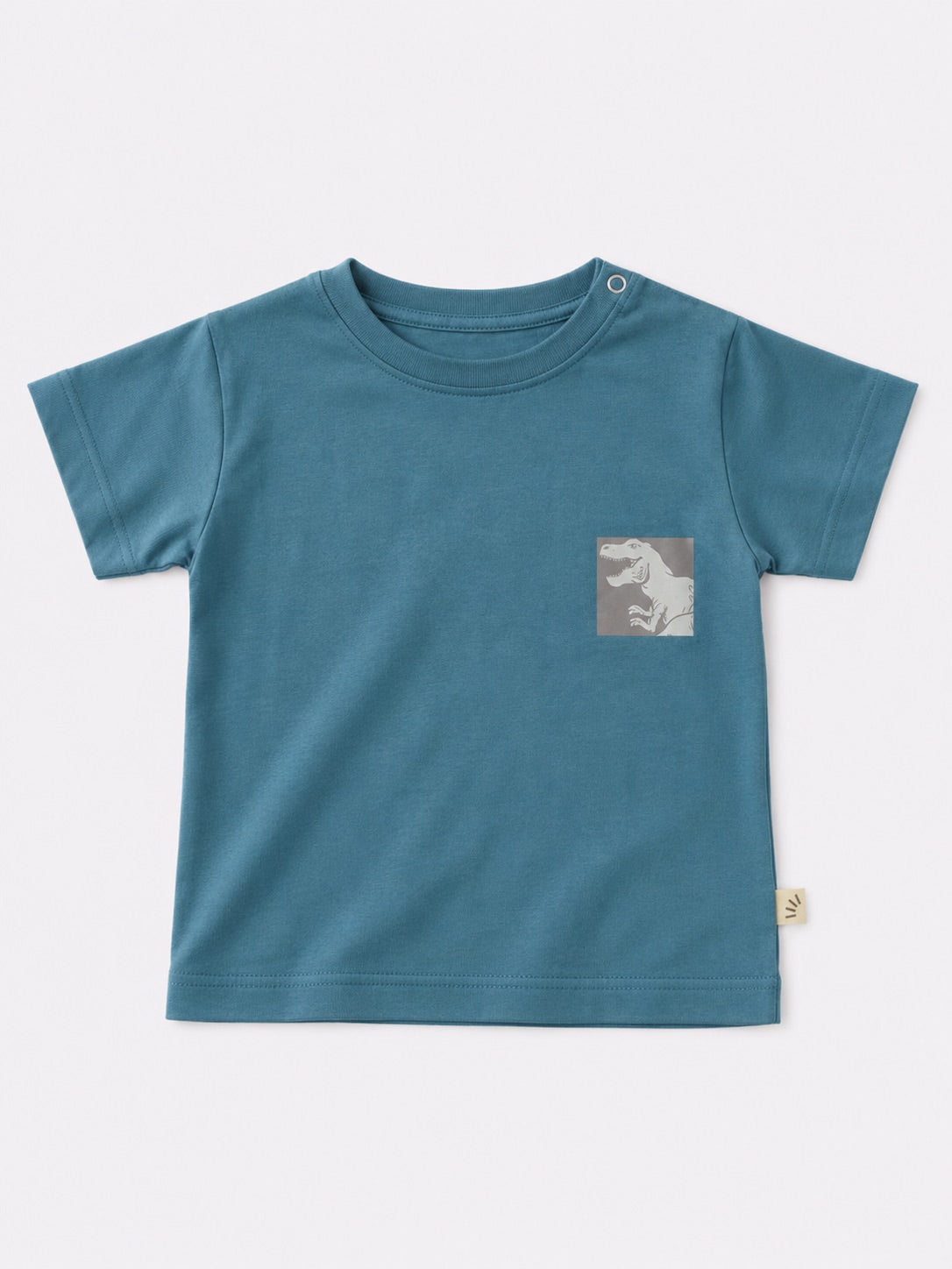 Baby Boys Cotton T-Shirt – Dino Print Blue