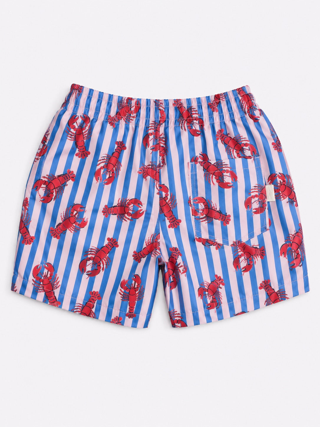 Boys Swim Shorts - Lobster Print Stripe Blue