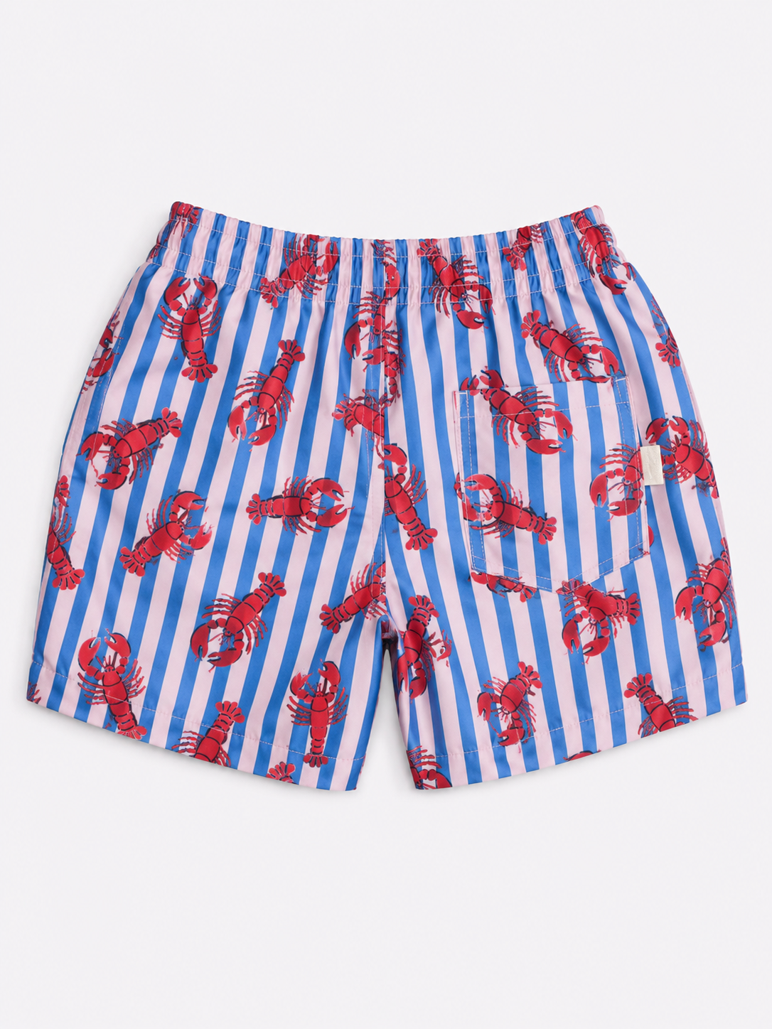 Boys Swim Shorts - Lobster Print Stripe Blue