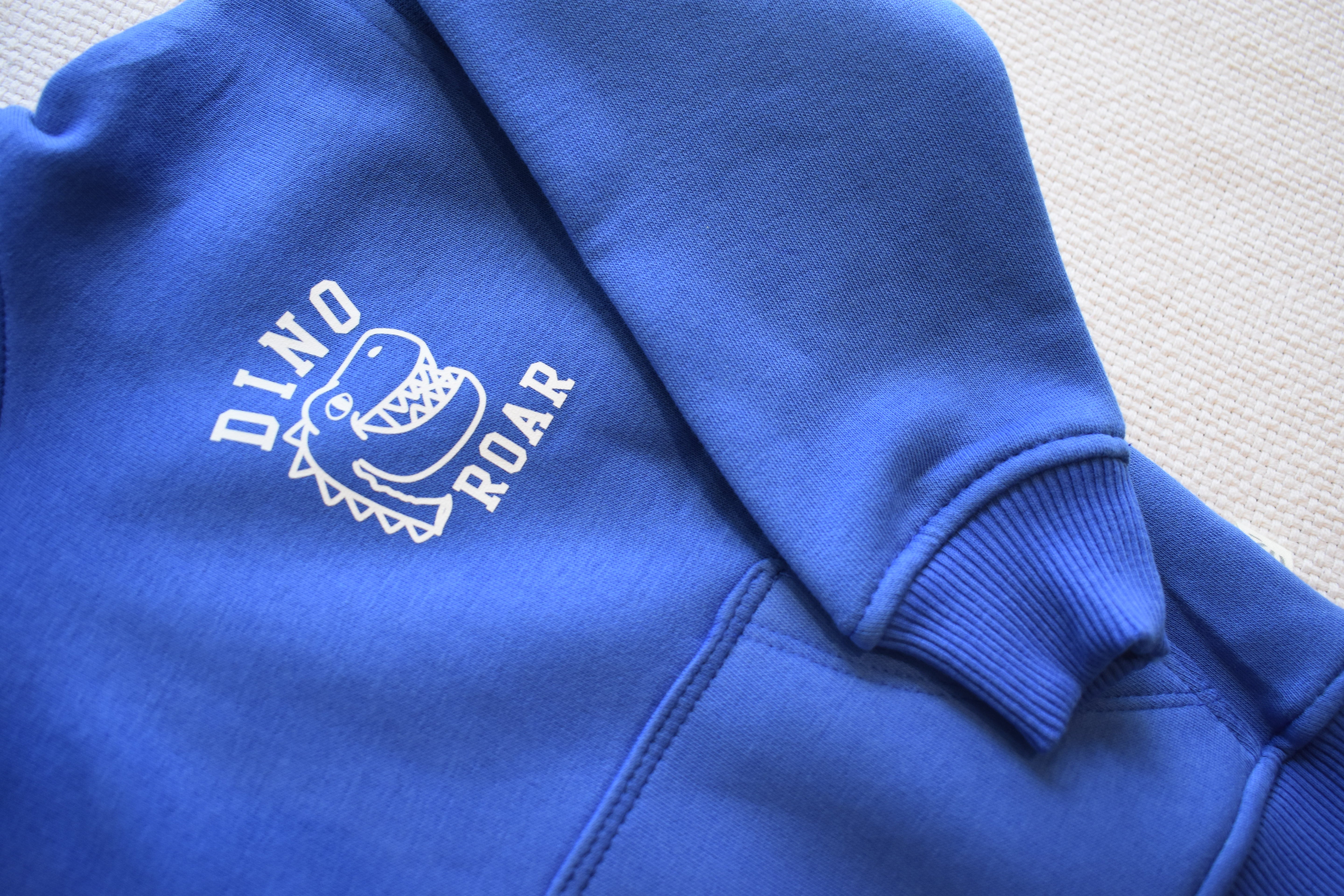 Boys Fleece Hoodies - Dino Roar Print Blue